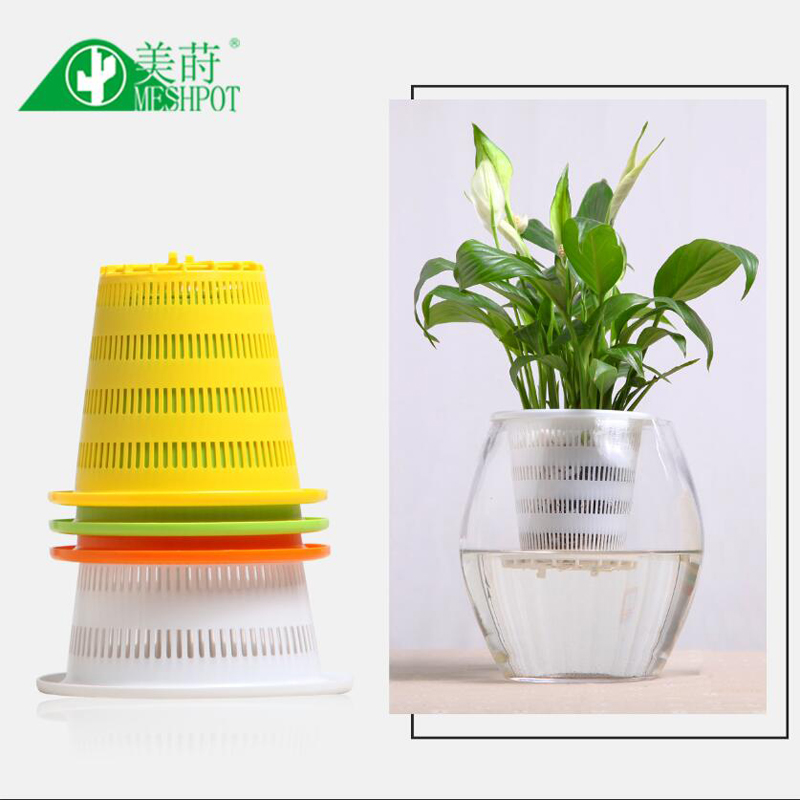 Aloe Vera Pot - Meshpot 3 Nhựa Nhiều Màu Sắc