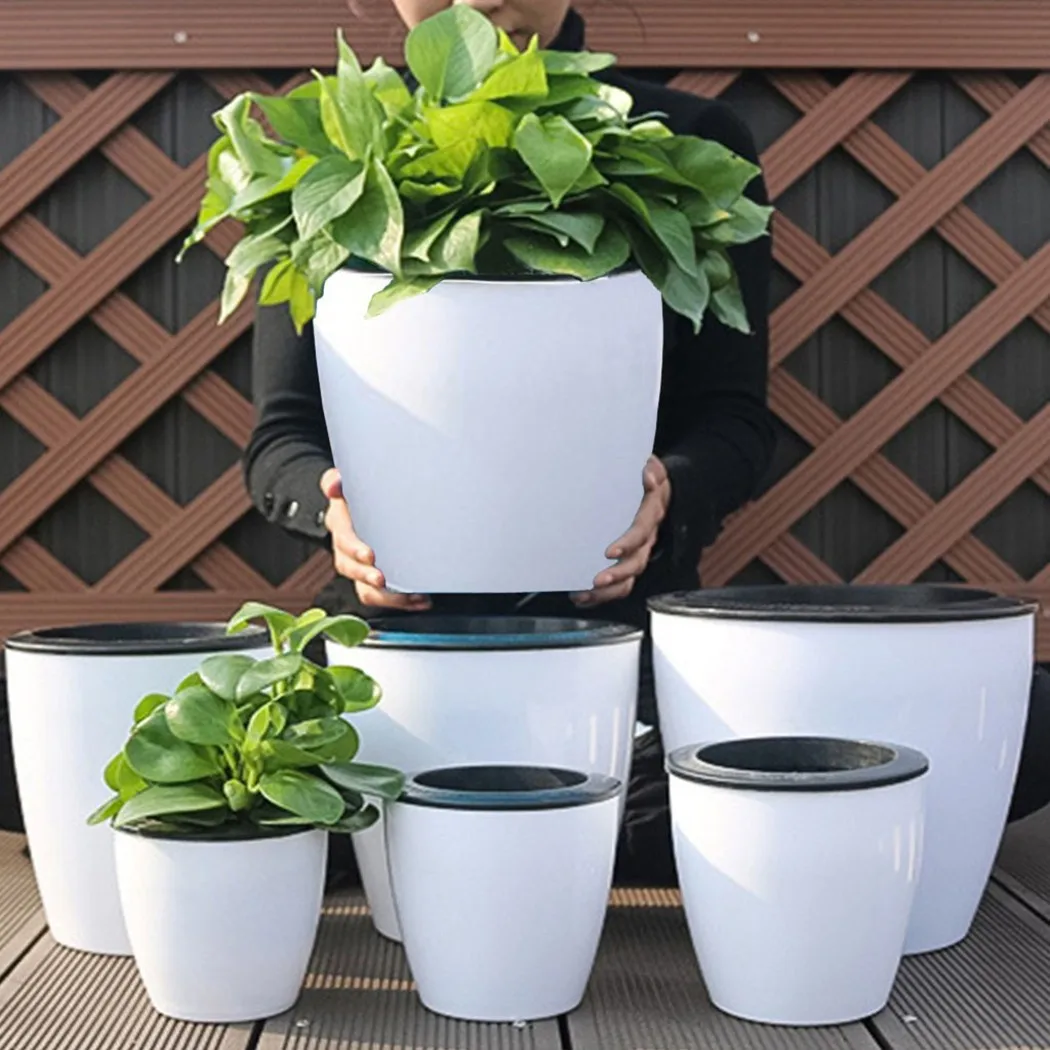 Lazy Flower Pot Self-Watering  - đánh giá và giá Aloe Vera Pot