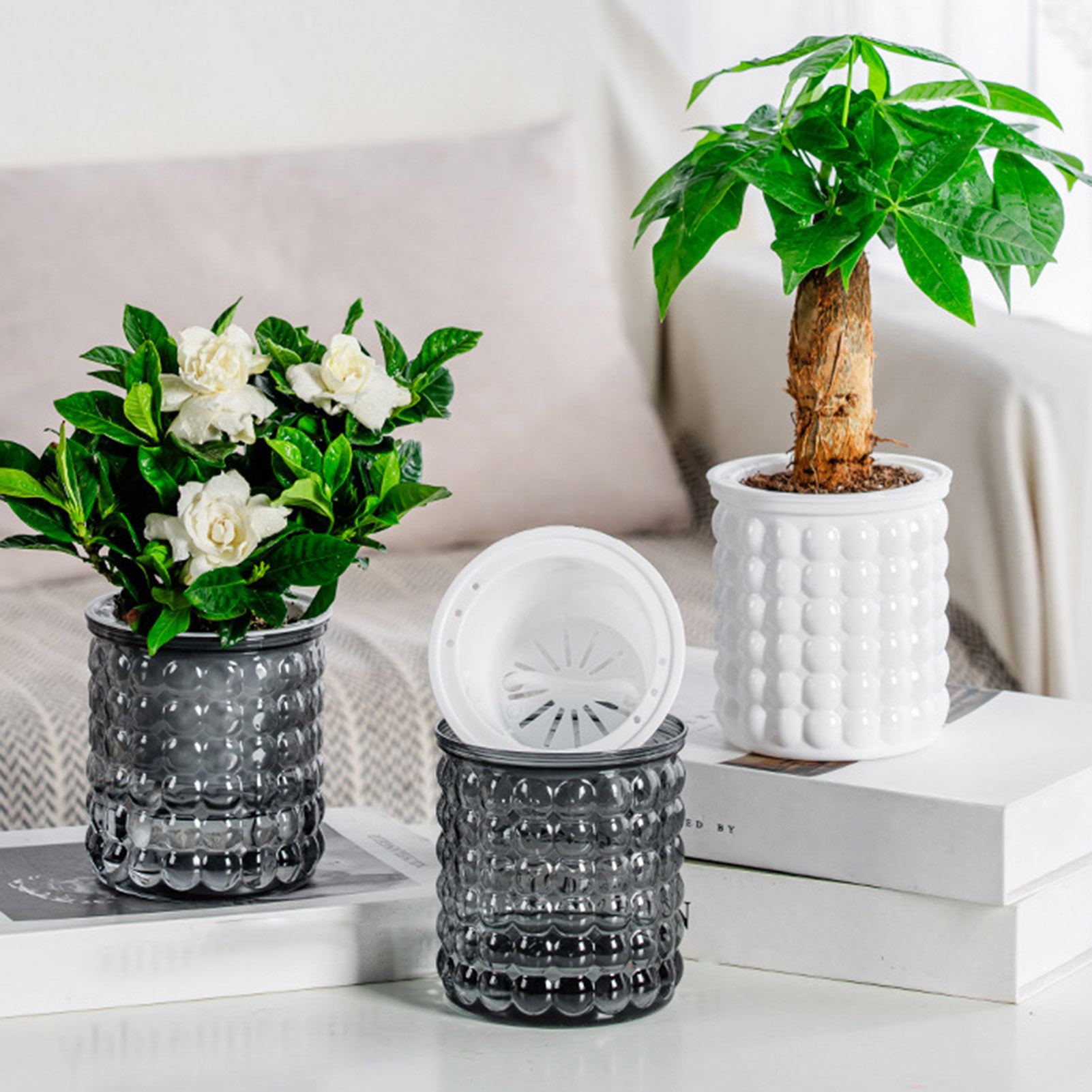 New Self Watering Hydroponic P - đánh giá và giá Aloe Vera Pot